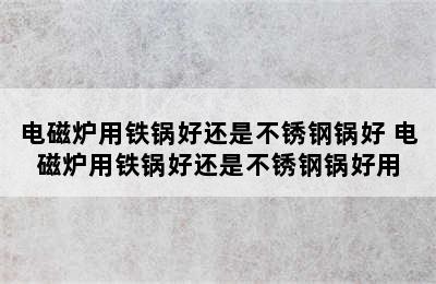 电磁炉用铁锅好还是不锈钢锅好 电磁炉用铁锅好还是不锈钢锅好用